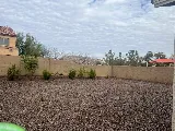 “Copechi” Junk Removal & Landscaping LLC photo 3