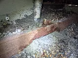 Pacific Coast Termite Inc. photo 5