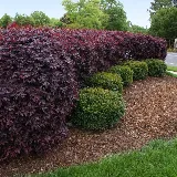 Heartland Landscape Group photo 4