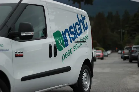 Insight Pest Solutions in Richmond