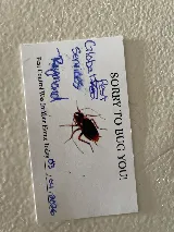 Global Pest Services photo 4