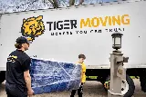Tiger Moving photo 5