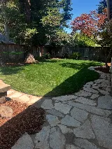 Natural Landscaping photo 7