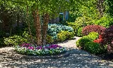 JOSH Landscape Co photo 3