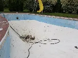 Crystal Clear Pool Service, inc photo 3