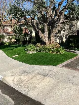 New Image Landscaping photo 8