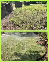 Vargas Landscape & Sprinklers photo 6