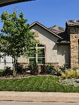Zion Landscape Co. photo 5