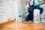 Baltimore Pest Control Exterminators photo 2