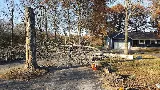 Oasis Lawncare, LLC photo 8