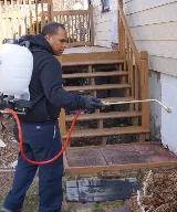DLS Pest Solutions photo 2
