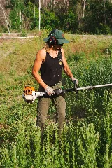 Cali Garden Landscaping photo 5