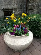 FarWest Landscape Company photo 4