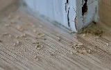 Bug-N-A-Rug Exterminators photo 6