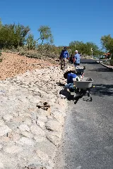 Desert Rain Landscaping & Services photo 6