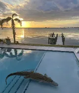 Able Pool Services, LLC