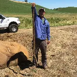 McCauley Agricultural & Pest Control photo 6