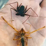Urban Desert Pest Control photo 6