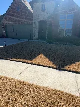 Thrive Pest Control
