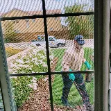 Crazy Ant Pest Control photo 6