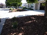 Montana Roots Landscaping photo 6