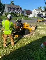 207 Landscaping Tree Service, LLC photo 7
