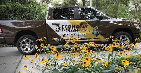 Economy Exterminators in Wilmington