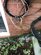 Pest Chase Termite and Pest Control Inc. photo 5