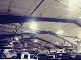 Lec-Tro photo 6