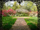 Landscaping Charm Experts Edmonton photo 5
