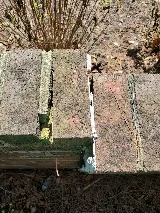 Curb Appeal I Inc. photo 6