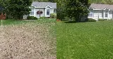 Healthy Home Pest Control & Services photo 2