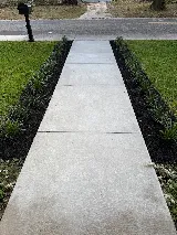 Soil & Bloom photo 8