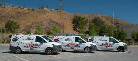 Hydrex Pest Control photo 1