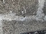 Iowa Illinois Termite & Pest Control, Inc. photo 6