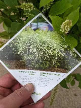 Kull Scape Landscaping Inc. photo 8
