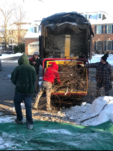 Chavez landscaping LLC in Alexandria