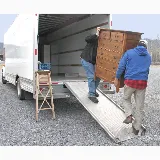 TrueCare Moving Service LLC