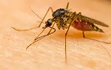 Terminix Central Oregon Pest Control photo 3