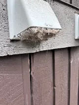Lose the lint dryer vent cleaning photo 7