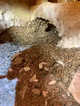 Arrow Termite & Pest Control photo 4