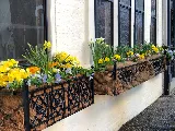 Potted Perfection, LLC. photo 5