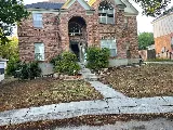 San Antonio Landscaping Services photo 4