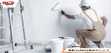 Mister Paint photo 5