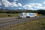 AAction Movers