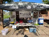 Montana Pest Solutions photo 3