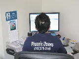 The Phoenix Movers photo 7