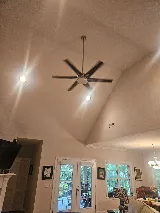 Monkey Junction Electric photo 5