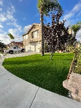 DP Landscape & Construction Inc photo 6