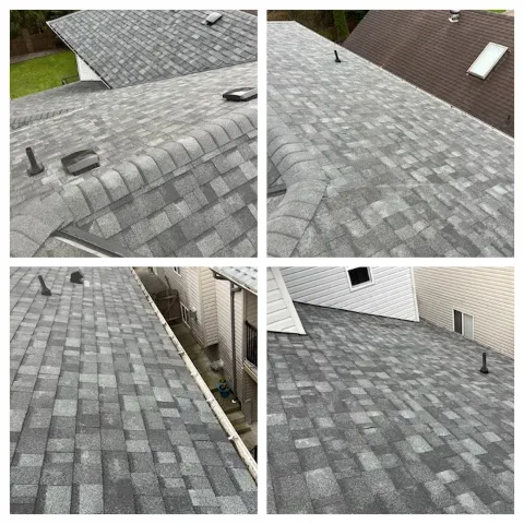 Whonnock Roofing Ltd Burnaby photo 1